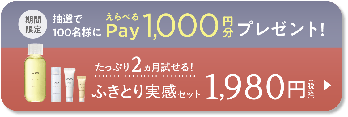 ふきとり実感セット