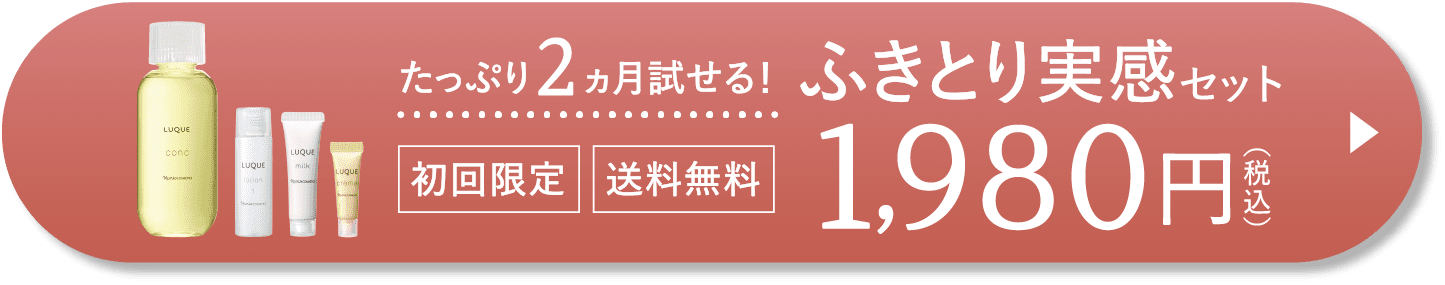 ふきとり実感セット