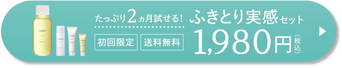 ふきとり実感セット