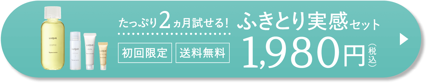 ふきとり実感セット