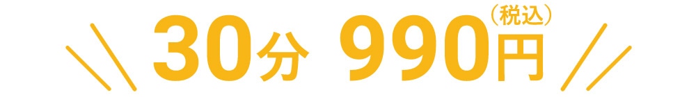 30分990円（税込）