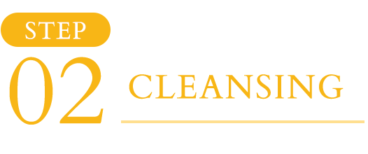 STEP02 CLEANSING
