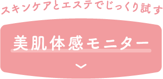美肌体感モニター