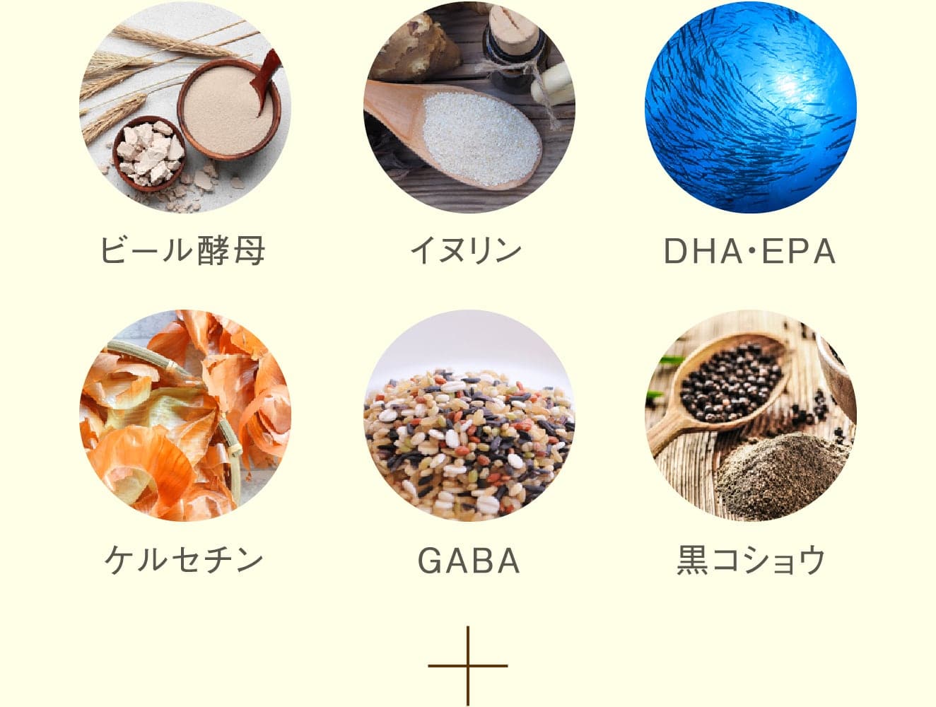 ビール酵母、イヌリン、DHA・EPA、ケルセチン、GABA、黒コショウ