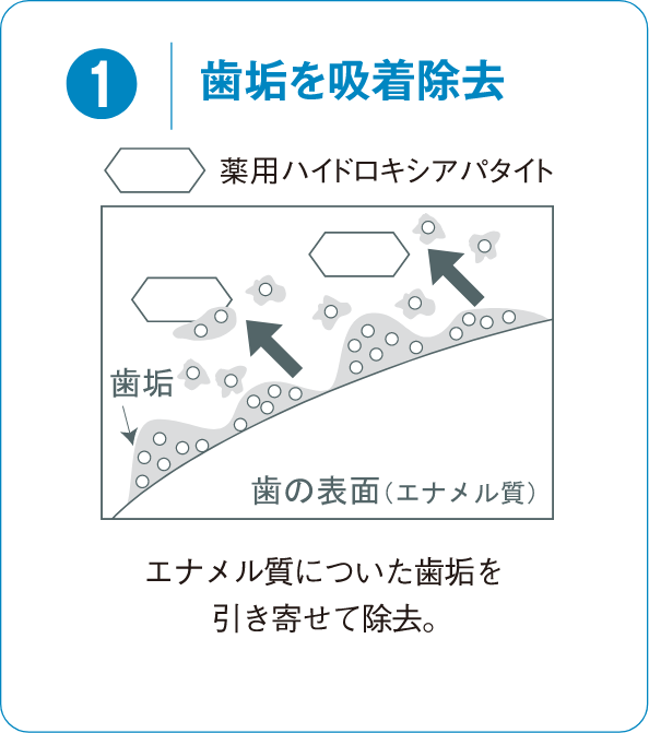 歯垢を吸着除去