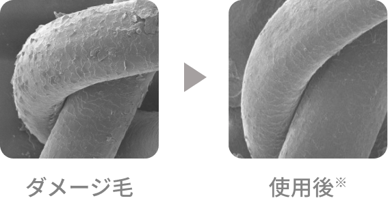 ダメージ毛/使用後