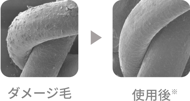 ダメージ毛/使用後