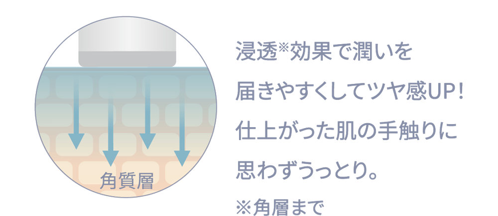 浸透※効果で潤いを届きやすくしてツヤ感UP！仕上がった肌の手触りに思わずうっとり　※角層まで