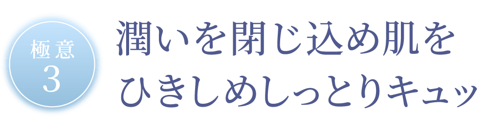 極意3 潤いを閉じ込め肌をひきしめしっとりキュッ