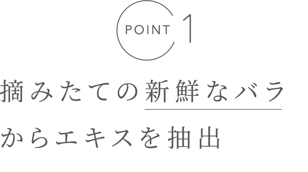 POINT1 摘みたての新鮮なバラからエキスを抽出