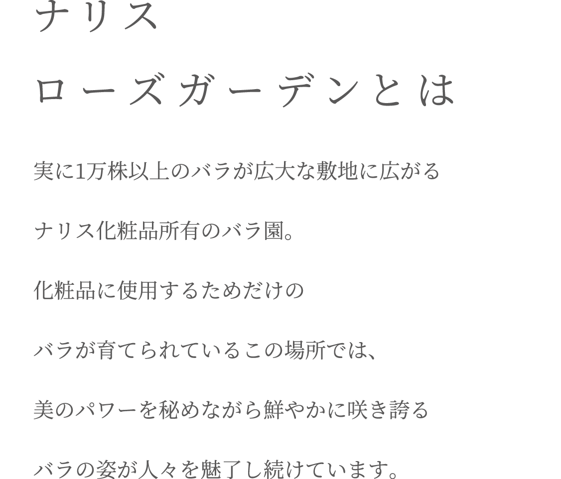 ナリスローズガーデンとは実に1万株以上のバラが広大な敷地に広がるナリス化粧品所有のバラ園。化粧品に使用するためだけのバラが育てられているこの場所では、美のパワーを秘めながら鮮やかに咲き誇るバラの姿が人々を魅了し続けています。