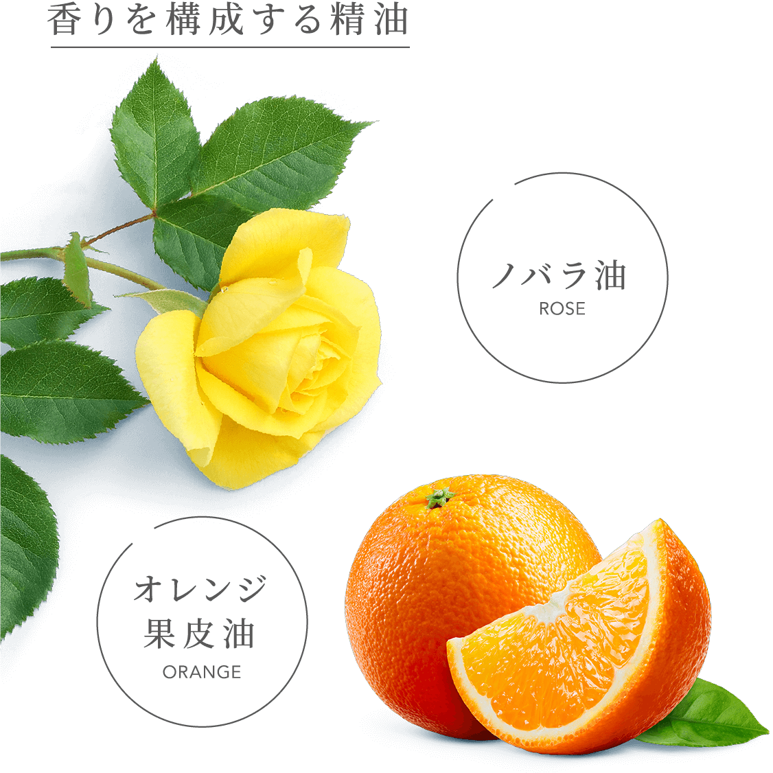 香りを構成する精油 ノバラ油ROSE オレンジ果皮油ORANGE