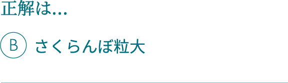 正解は…Bさくらんぼ粒大