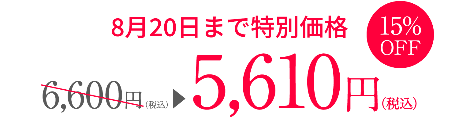 8月20日まで特別価格 6,600円(税込)が10%OFFで5,940円(税込)