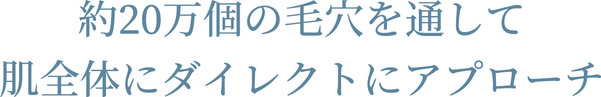 約20万個の毛穴を通して肌全体にダイレクトにアプローチ