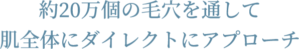 約20万個の毛穴を通して肌全体にダイレクトにアプローチ