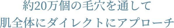 約20万個の毛穴を通して肌全体にダイレクトにアプローチ