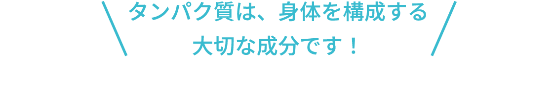 タンパク質は、身体を構成する大切な成分です！