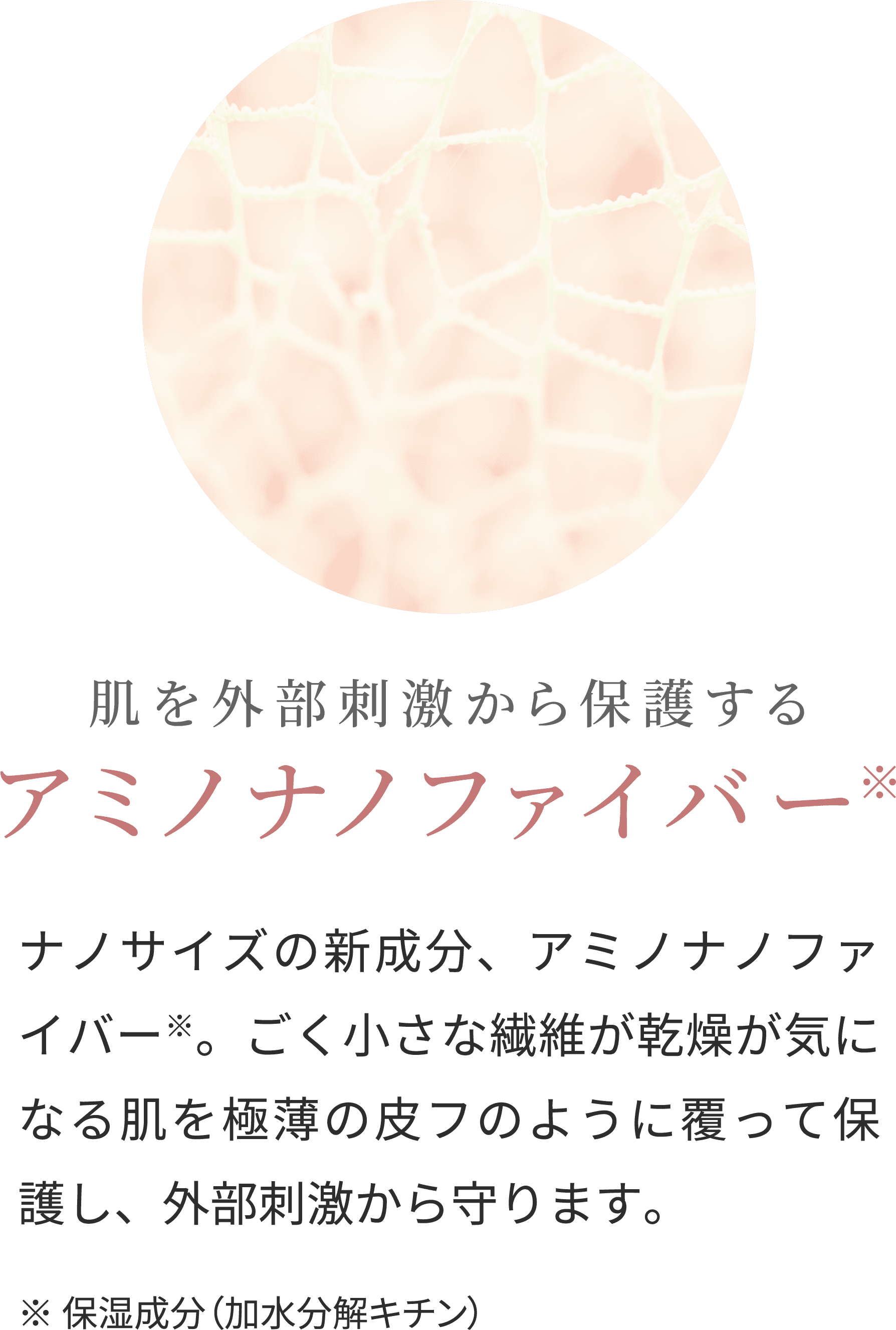 肌を外部刺激から保護するアミノナノファイバー※ナノサイズの新成分、アミノナノファイバー※。ごく小さな繊維が乾燥が気になる肌を極薄の皮フのように覆って保護し、外部刺激から守ります。※保湿成分(加水分解キチン)