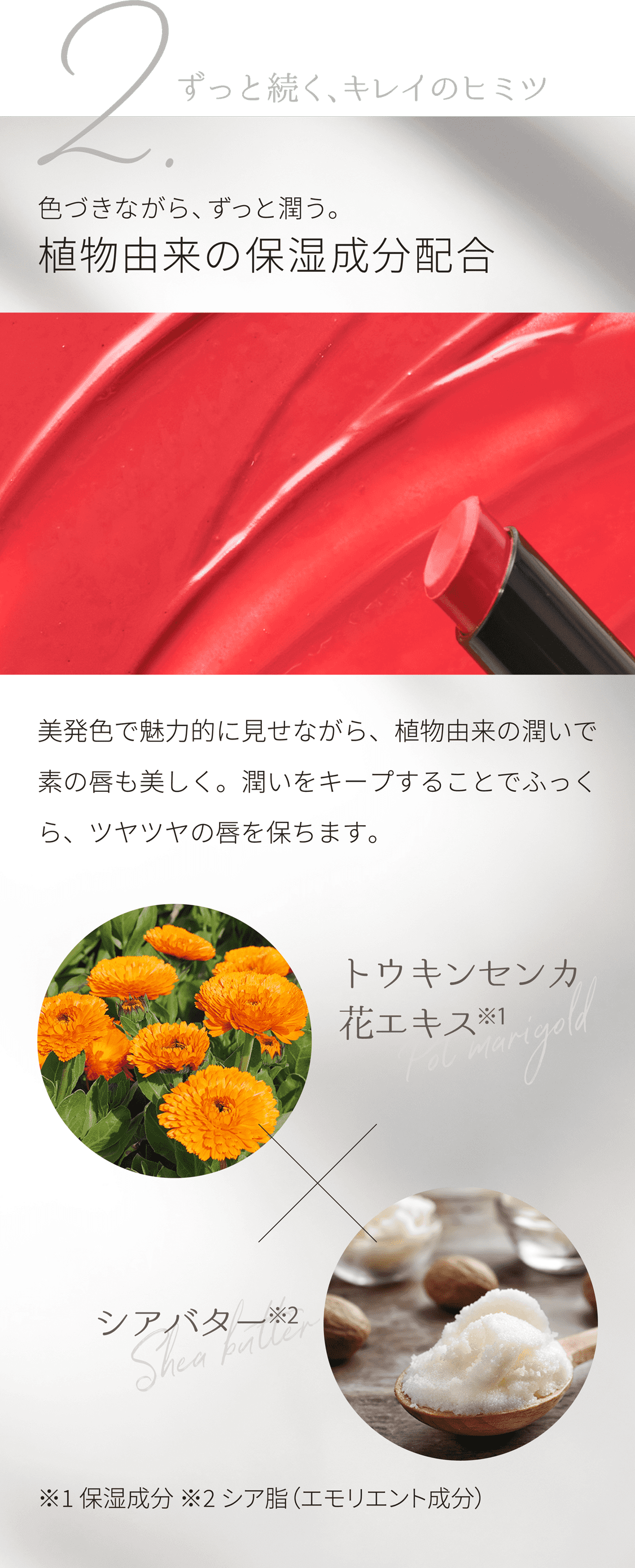 2.ずっと続く、キレイのヒミツ 色づきながら、ずっと潤う。植物由来の保湿成分配合 美発色で魅力的に見せながら、植物由来の潤いで素の唇も美しく。潤いをキープすることでふっくら、ツヤツヤの唇を保ちます。トウキンセンカ花エキス※1 シアバター※2 ※1保湿成分 ※2シア脂（エモリエント成分）