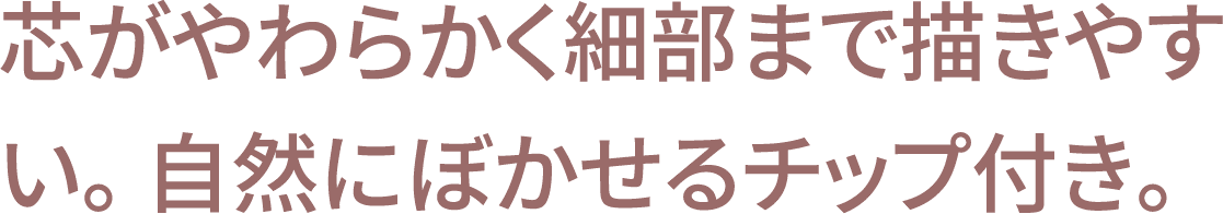 芯がやわらかく細部まで描きやすい。 自然にぼかせるチップ付き。