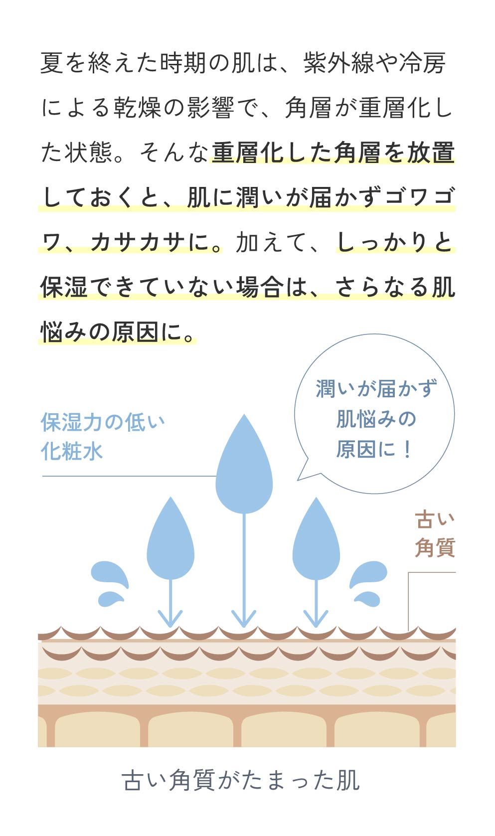 夏を終えた時期の肌は、紫外線や冷房による乾燥の影響で、角層が重層化した状態。そんな重層化した角層を放置しておくと、肌に潤いが届かずゴワゴワ、カサカサに。加えて、しっかりと保湿できていない場合は、さらなる肌悩みの原因に。 【古い角質がたまった肌の図解】