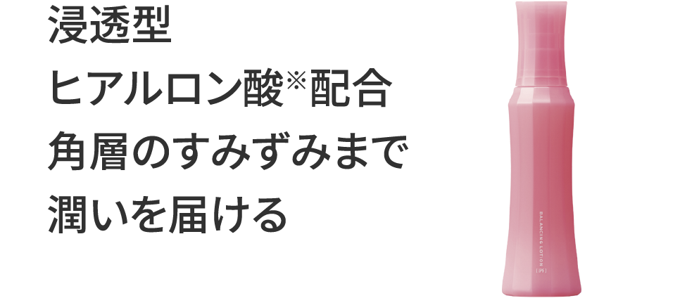 浸透型ヒアルロン酸配合角層のすみずみまで潤いを届ける