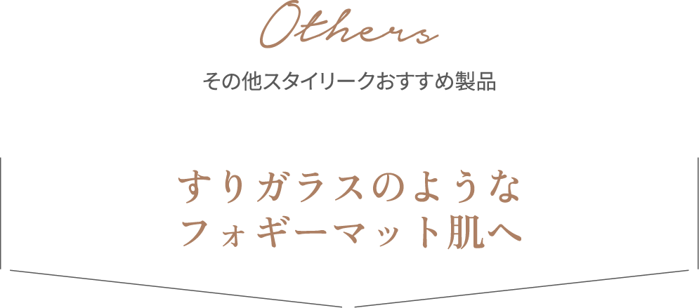 Others その他スタイリークおすすめ製品 すりガラスのようなフォギーマット肌へ