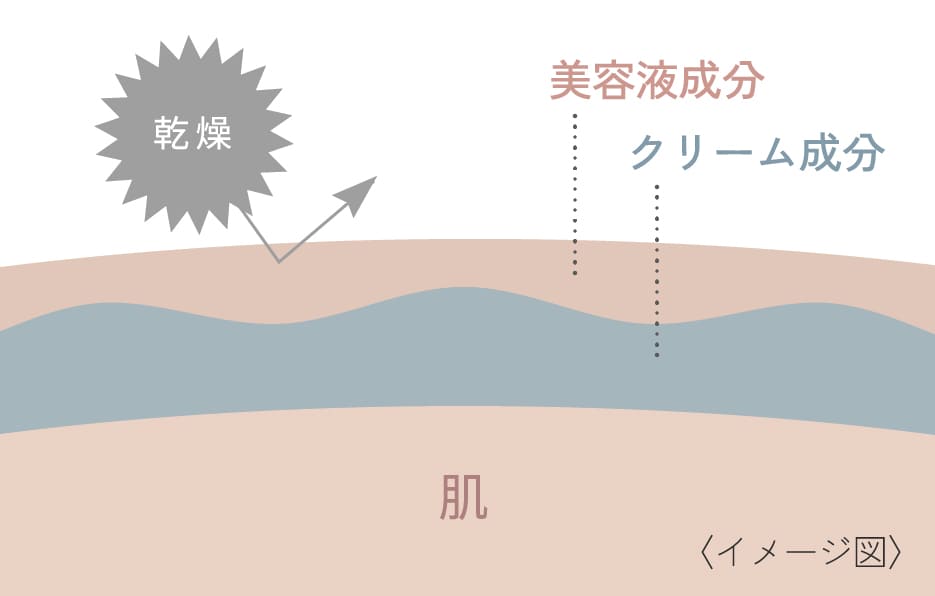 乾燥 美容液成分 クリーム成分 肌〈イメージ図〉