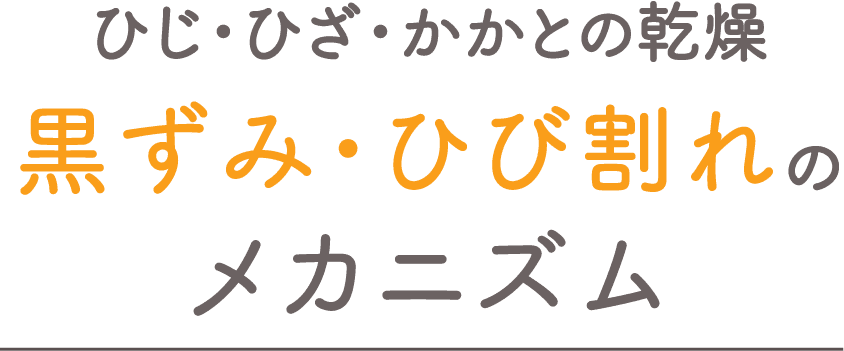 ひじ・ひざ・かかとの乾燥 黒ずみ・ひび割れのメカニズム。