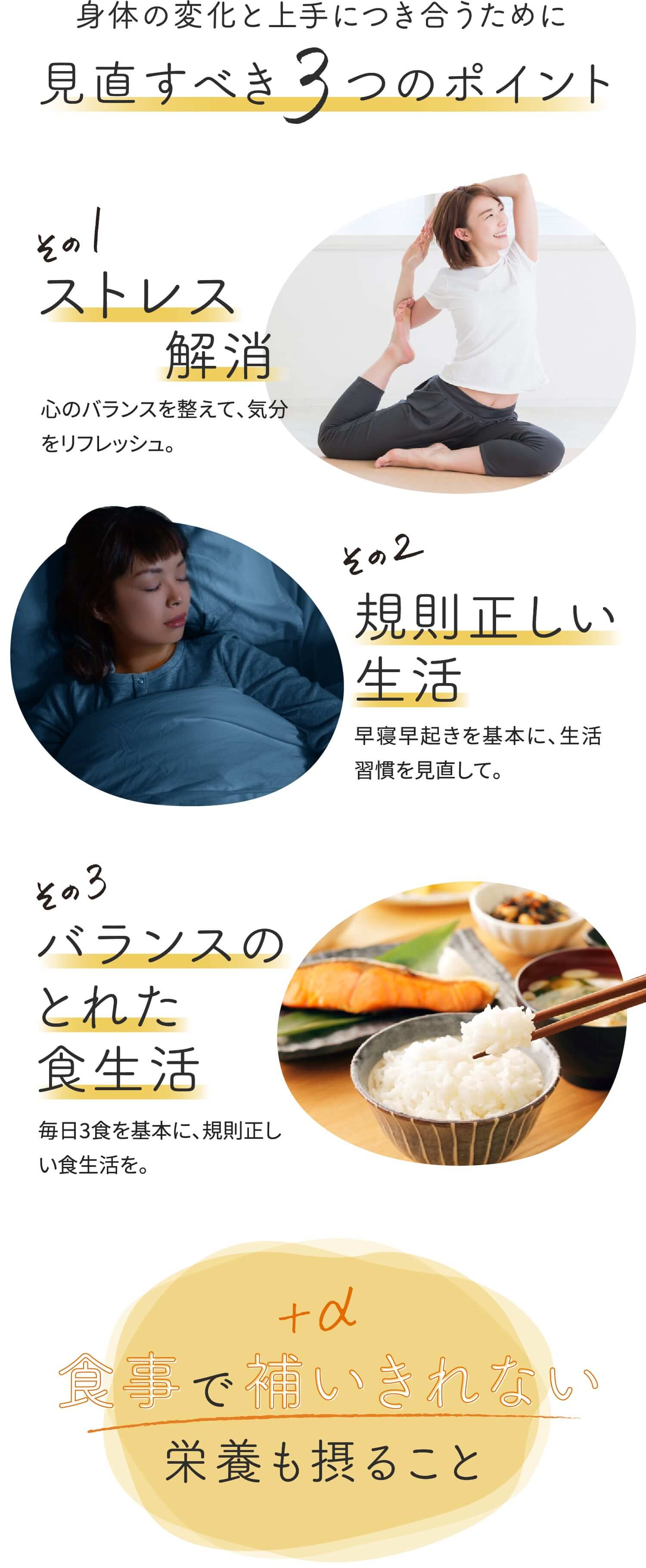 ナリス化粧品 - ナリス*調製ローヤルゼリー3000 120粒×2箱 ローヤルゼリー 3000: ブランドから探す / ナリスオンライン