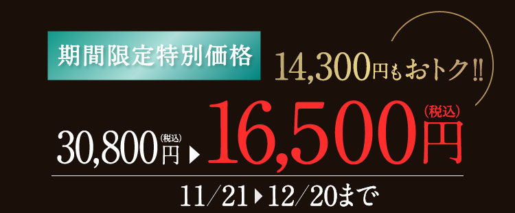 期間限定特別価格 14,300円もおトク!! 30,800円（税込）が16,500円（税込）に 期間11/21〜12/20