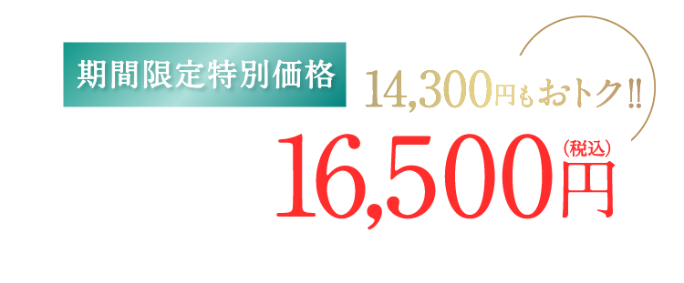 期間限定特別価格 14,300円もおトク!! 30,800円（税込）が16,500円（税込）に 期間11/21〜12/20