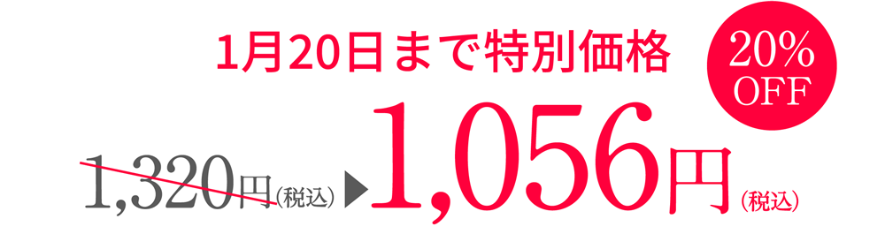 ¥１,320（税込）が期間限定特別価格 ¥1,056（税込）
