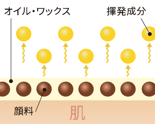 オイル・ワックス 揮発成分 顔料 肌