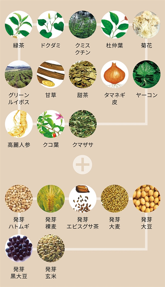 緑茶　ドクダミ　クミスクチン 杜仲葉 菊花 グリーンルイボス 甘草 甜茶 タマネギ皮 ヤーコン 高麗人参 クコ葉 クマザサ 発芽ハトムギ 発芽裸麦 発芽エビスグサ茶 発芽大麦 発芽大豆 発芽黒大豆 発芽玄米