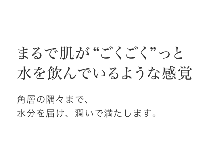 まるで肌が“ごくごく”っと水を飲んでいるような感覚 角層の隅々まで、水分を届け、潤いで満たします。