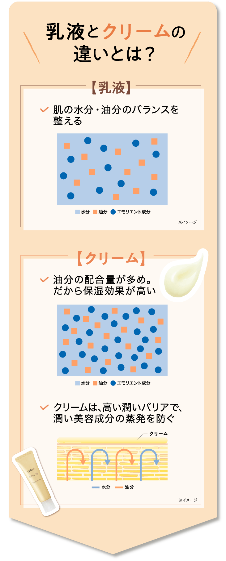 乳液とクリームの違いとは？【乳液】肌の水分・油分のバランスを整える【クリーム】油分の配合量が多め。だから保湿効果が高い　クリームは、潤いバリアを高め、潤い美容成分の蒸発を防ぐ