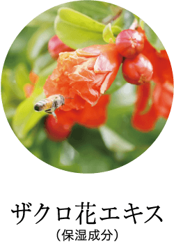 ザクロ花エキス（保湿成分）
