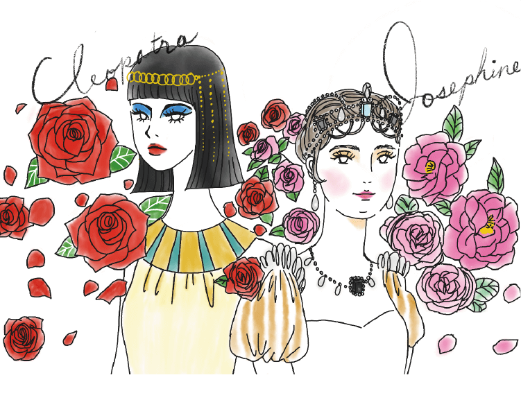 クレオパトラとジョセフィーヌの薔薇物語 Naris Online Store