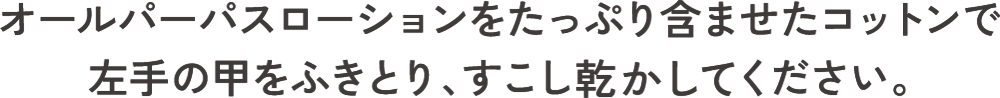 オールパーパスローションをたっぷり含ませたコットンで左手の甲をふきとり、すこし乾かせてください。
