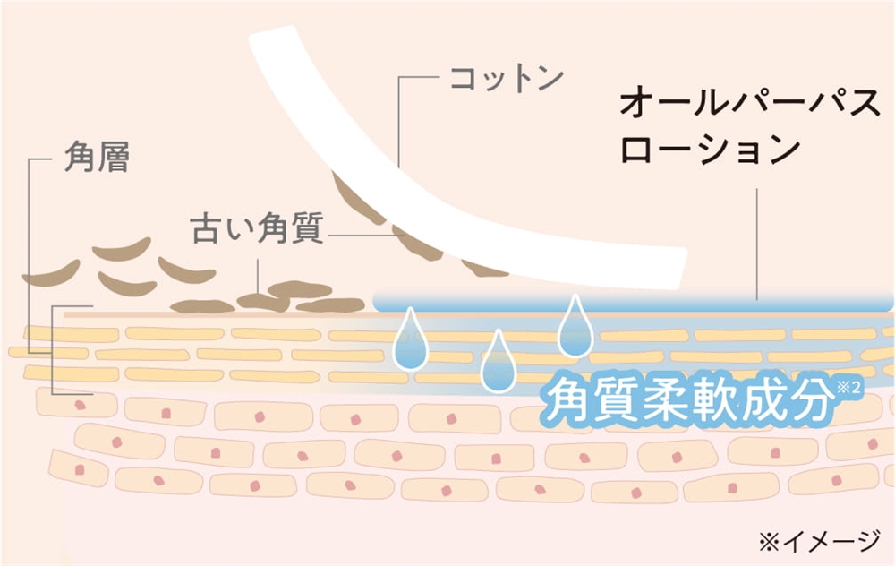 イメージ画像