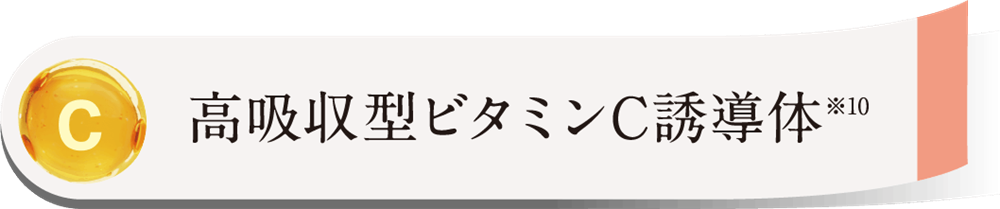 高吸収型ビタミンC誘導体※