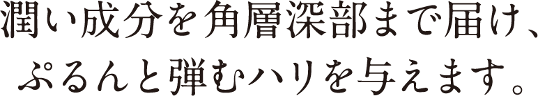 潤い成分を角層深部まで届け、ぷるんと弾むハリを与えます。