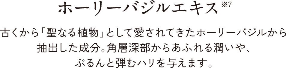 ホーリーバジルエキス※7古くから「聖なる植物」として愛されてきたホーリーバジルから抽出した成分。角層深部からあふれる潤いや、ぷるんと弾むハリを与えます。