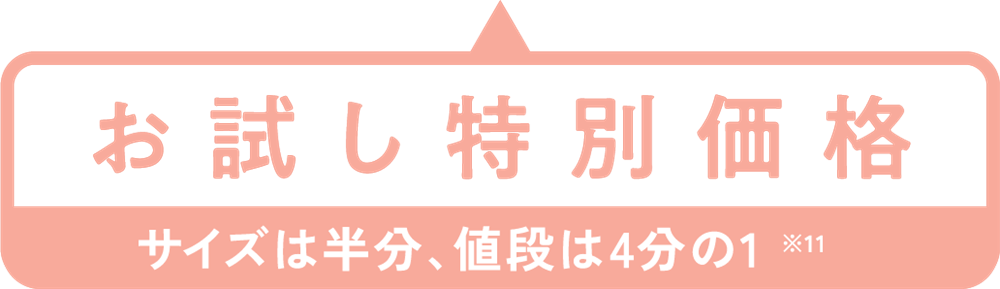 お試し特別価格