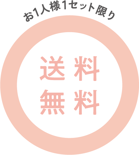 お1人様1セット限り 送料無料
