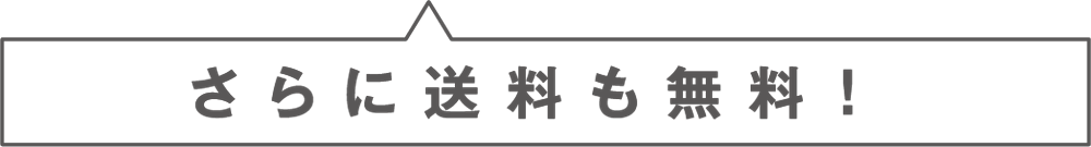 さらに送料も無料！