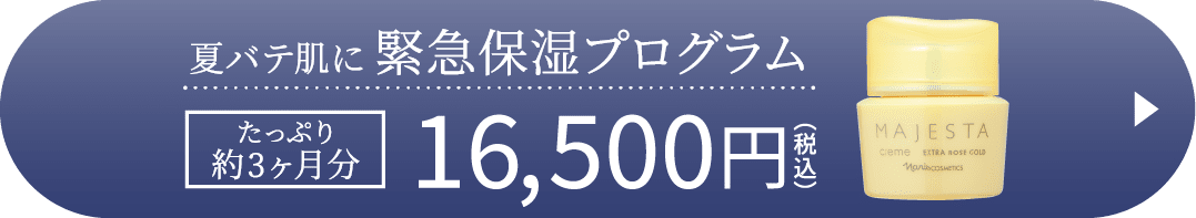 夏バテ肌に緊急保湿プログラム たっぷり約3ヶ月分 16,500円（税込）