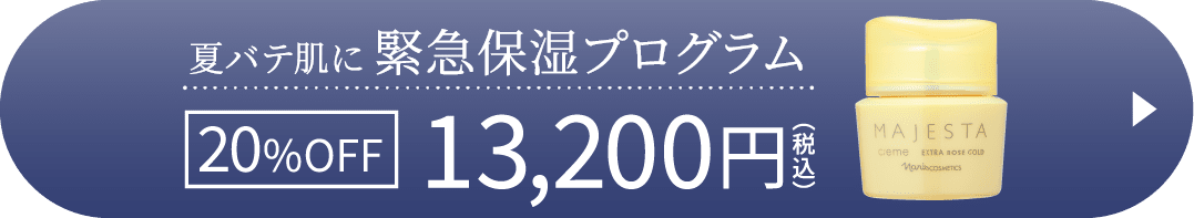 夏バテ肌に緊急保湿プログラム 20%OFF 13,200円（税込）